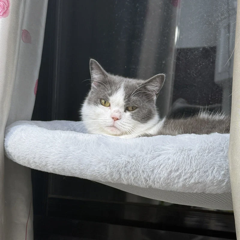 Foldable Cat Window Hammock with Suction Cups - Image 3