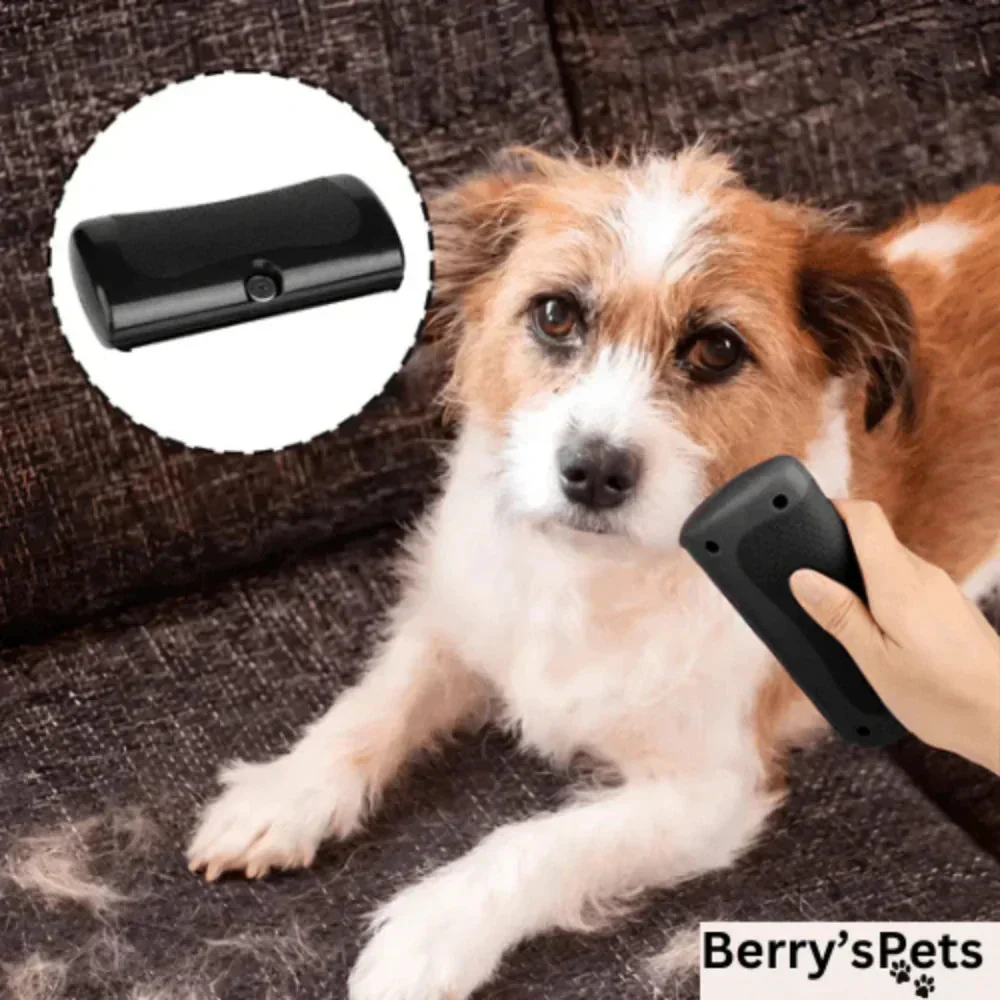 💥Pet🐕Professional brush - Image 7