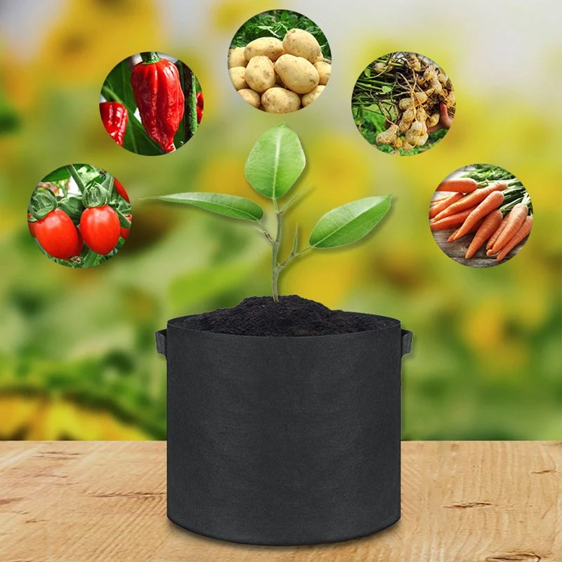 💐New arrival 40% OFF!🌱Micro Aerated Geotextile Plant Grow Bag - Image 4