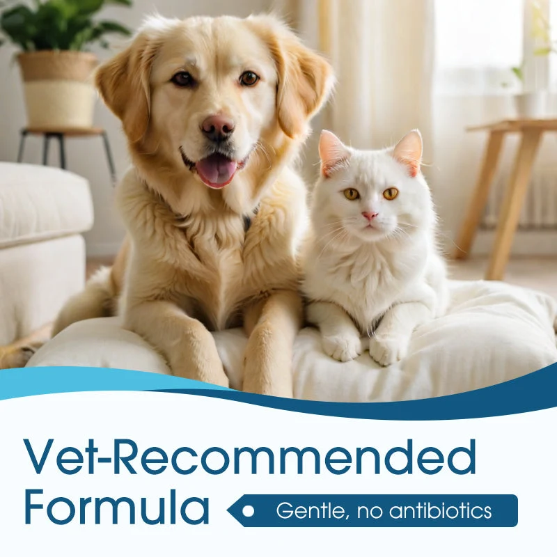 🐶🐱 Ear cleaner, Relieves itching in dogs & cats - Image 5
