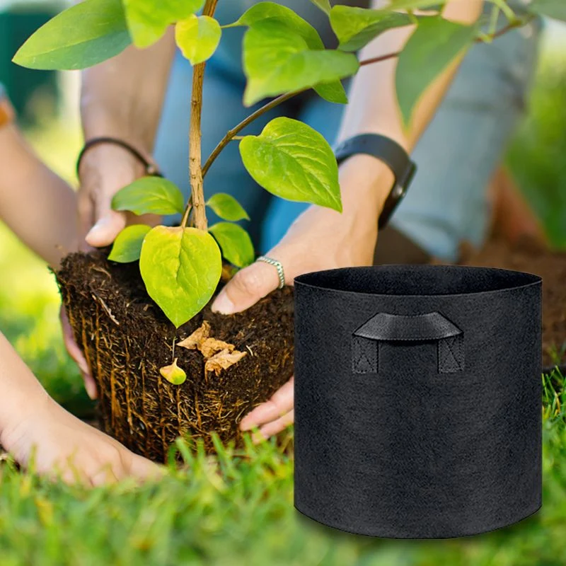 💐New arrival 40% OFF!🌱Micro Aerated Geotextile Plant Grow Bag - Image 8