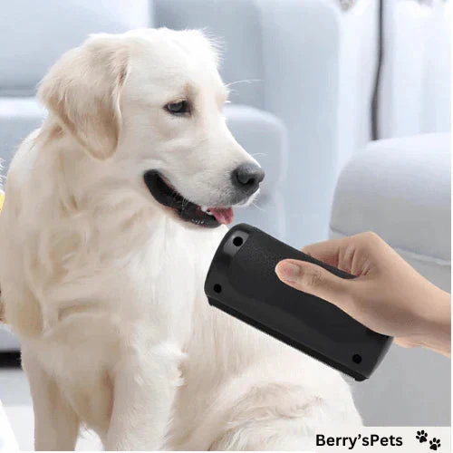💥Pet🐕Professional brush - Image 6