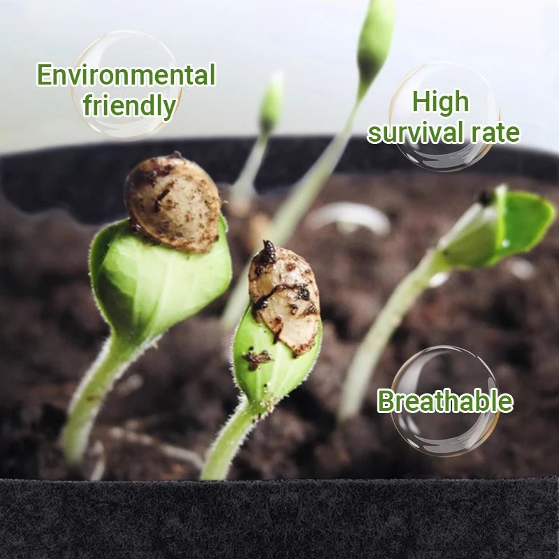 💐New arrival 40% OFF!🌱Micro Aerated Geotextile Plant Grow Bag - Image 2
