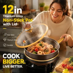 ⏳Time-limited Special⏰12in Titanium Alloy Non-Stick Pot with Lid