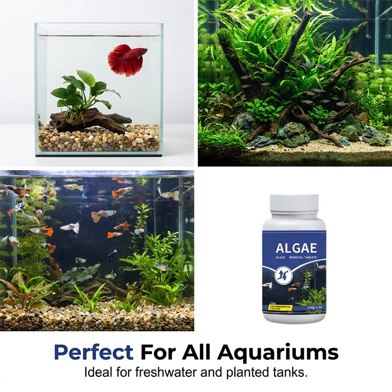 Fish Tank Algae Remover Tablets for Clear Water - Image 6
